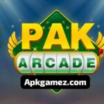 Pak Arcade Game